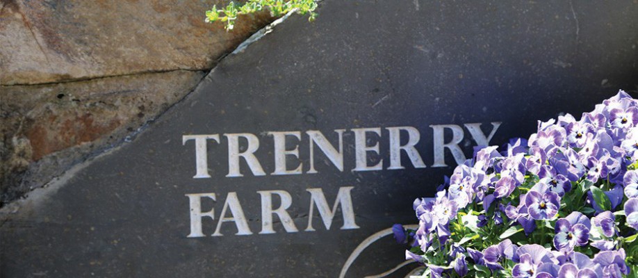 Trenerry Farm Holiday Cottages in Cornwall